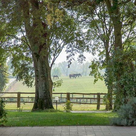 Tenuta Mariano Noceto Exterior foto